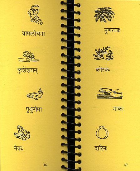 balabodhiniOpen