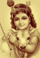 Baby Krishna