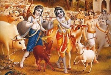 Krishna with Beautiful Cowherds