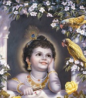 Krishna with a Beautiful Face